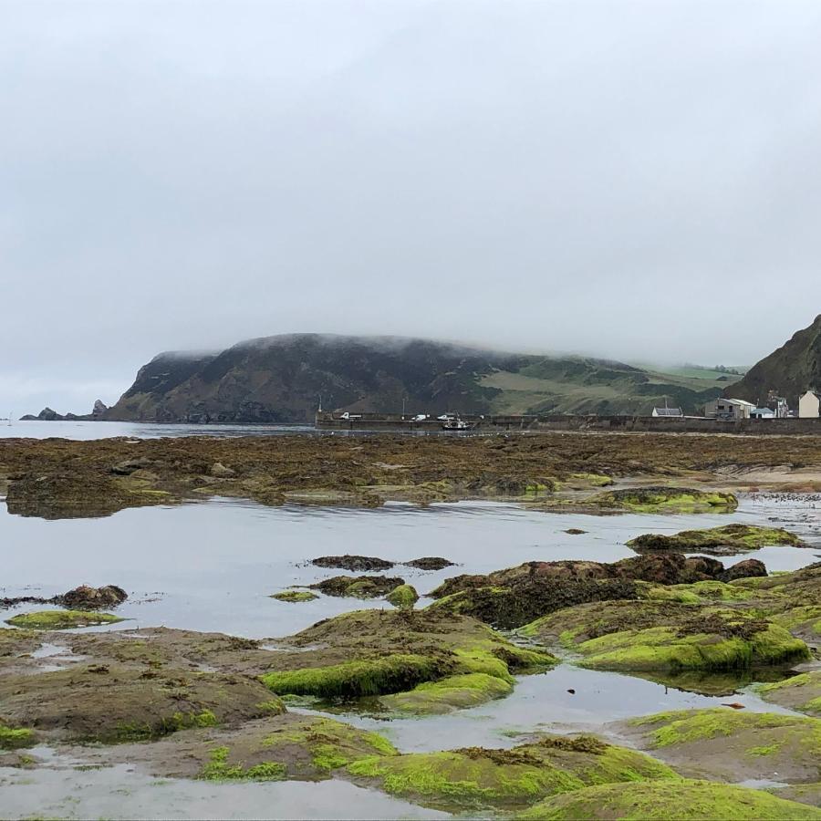 Puffins Nest Willa Gardenstown Zewnętrze zdjęcie